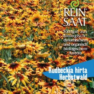 Rudbeckia Hirta Herbstwald