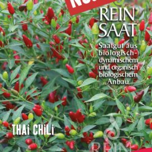 Thai Chili