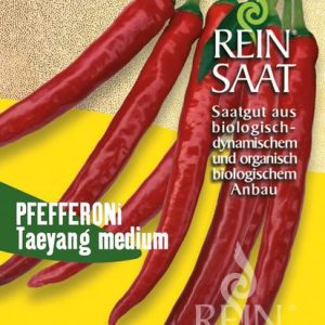 Taeyang medium chilli