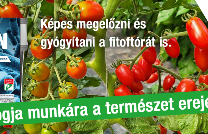 teszt 2