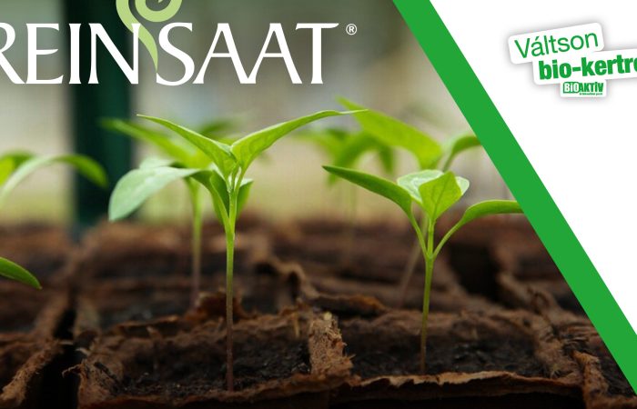 Vetőmagok palántaneveléshez