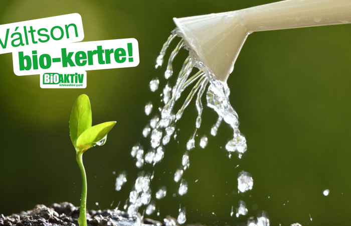 Kora tavaszi vetőmag kínálat!