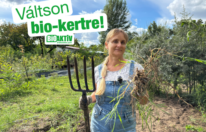 Vetőmagválasztás 2026-ban