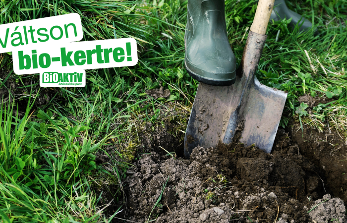 Ültetőgödör kialakítása ahogy Gyöngyvér csinálja