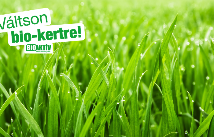 Fű-, pázsit alaptechnológia (megelőző kezelés)