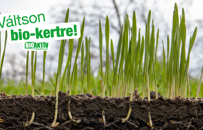 Fű-, pázsittelepítés (talaj-előkészítés, tápanyag-feltöltés)