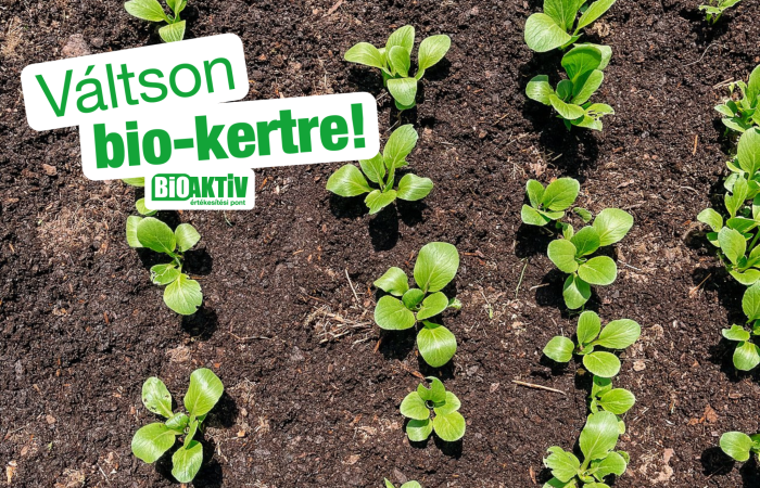 Mit használ Gyöngyvér a szabadföldi biozöldségek védelmére a szezon elején és végén?