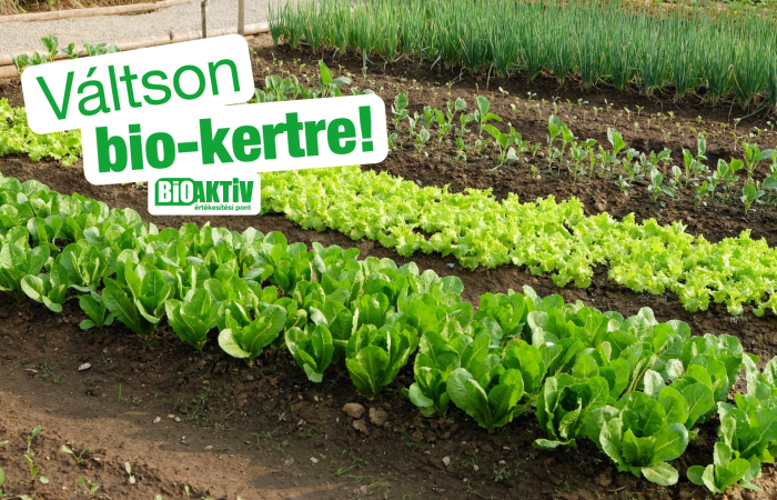 Szabadföldi zöldségek talajvédelme!