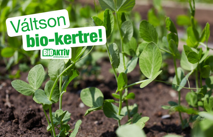 Szabadföldi zöldségek harmonikus tápanyagellátása!